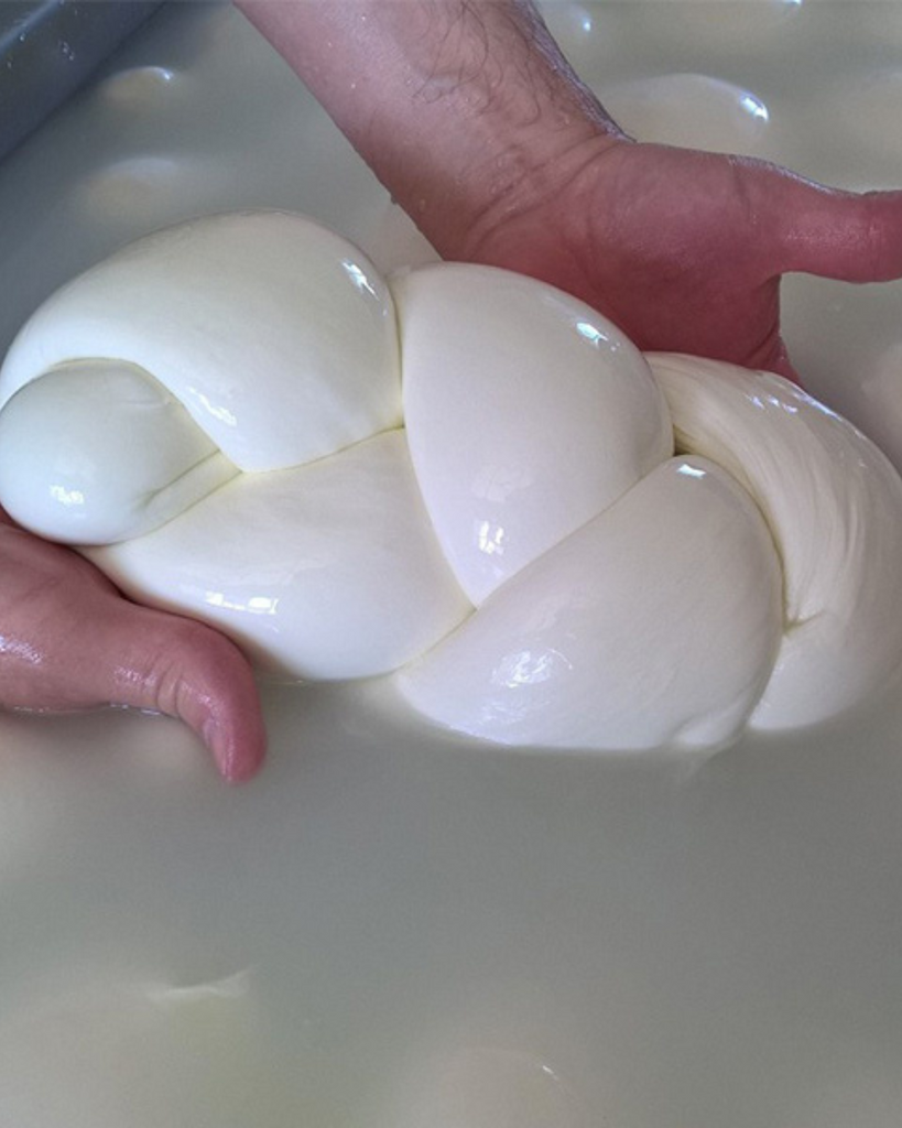 fromage, mozzarella, tresse, lait de vache, fior di latte