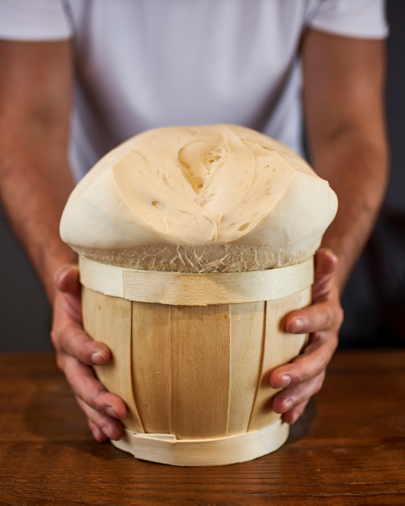 panettone, noel, italo vezzoli, casa zanoni