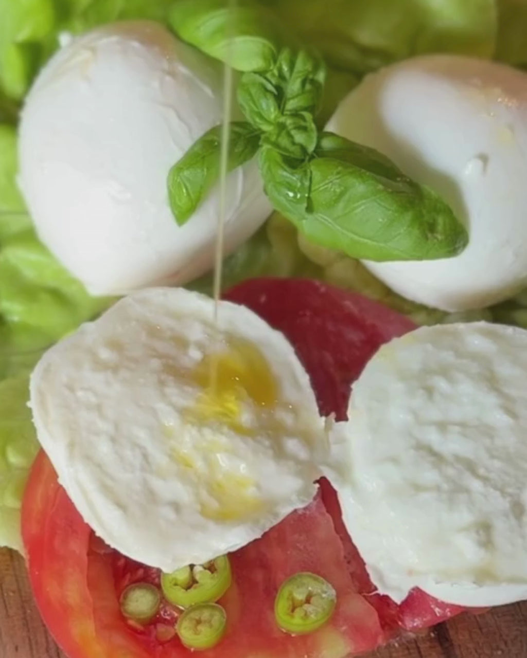 mozzarella di bufala bocconcini casa zanoni